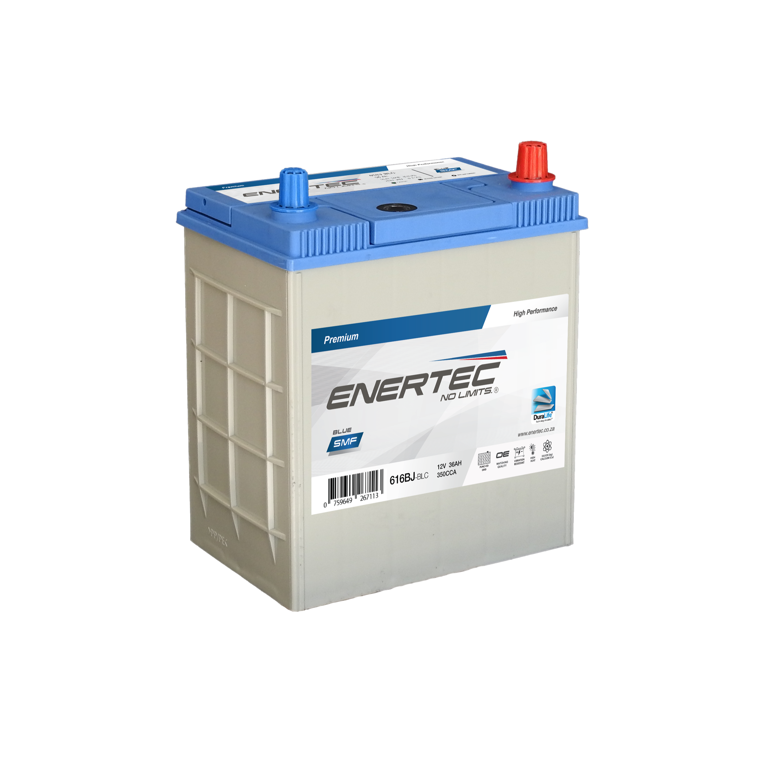 616BJ-BLC 12V 36Ah Enertec BLUE Lead Calcium Automotive Battery
