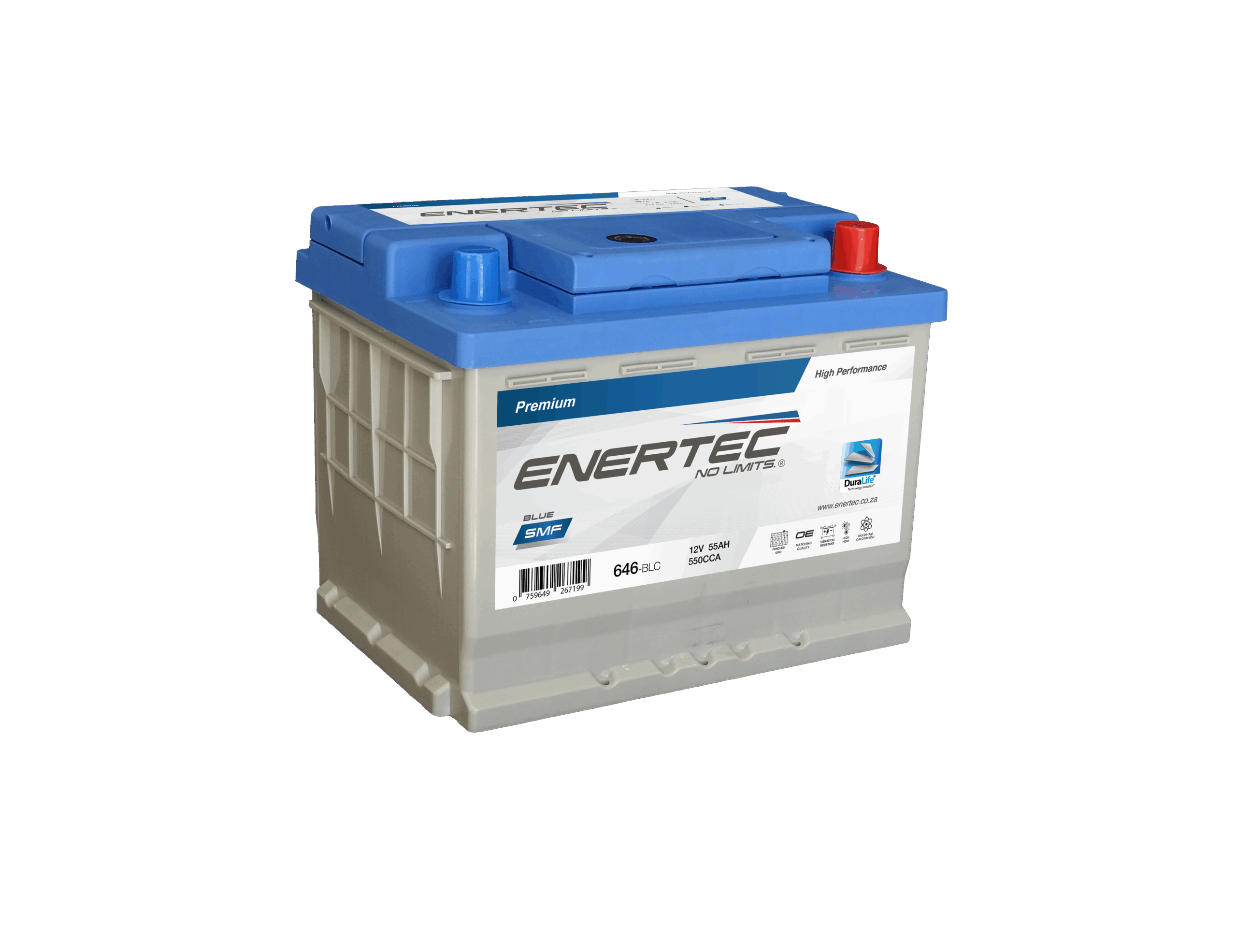 646-BLC 12V 55Ah Enertec Blue Lead Calcium Automotive Battery